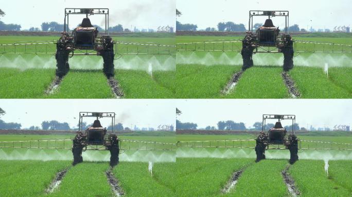 稻田机械喷洒农药食品农业博览会谷物植物