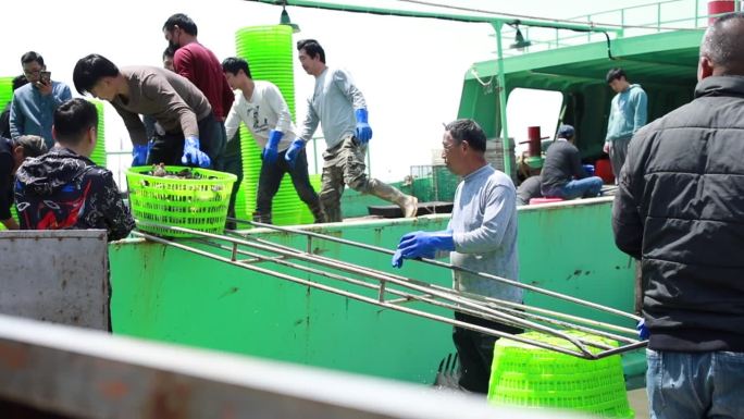 码头 渔民 捕捞螃蟹 渔船 上货