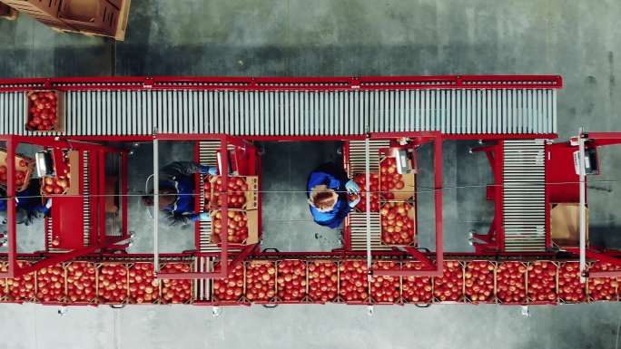 包装西红柿的工厂俯视图