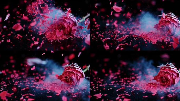 冻结的红玫瑰在黑色表面破碎