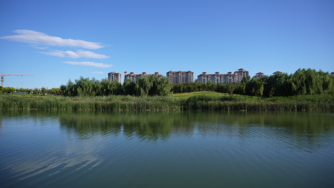 北京公园之马家湾湿地公园