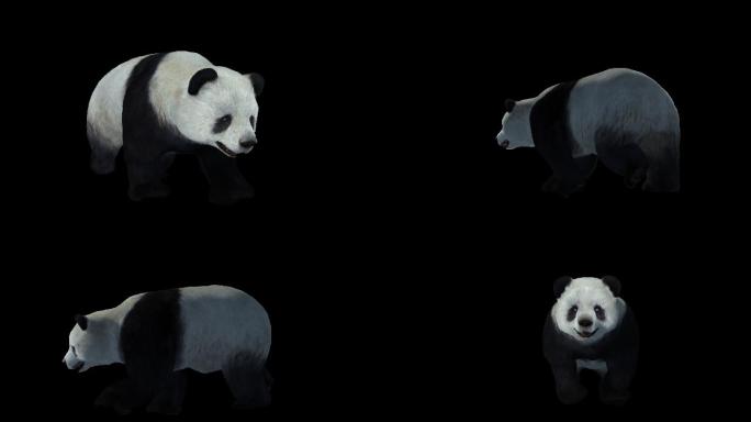 熊猫动画透明通道视频素材