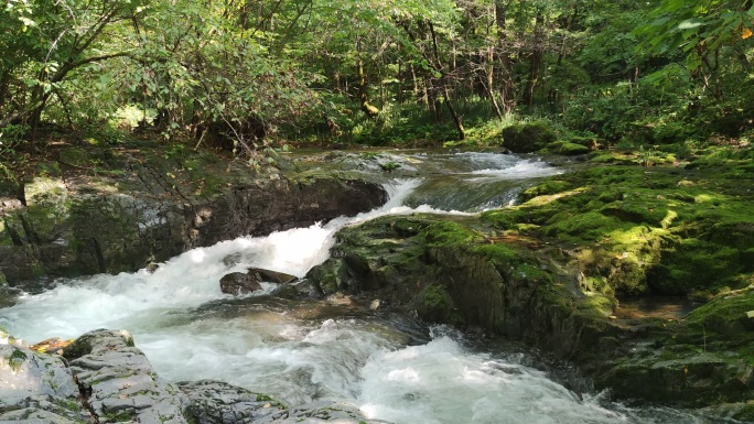 河流 岩石 湖水 森林  空镜4K原声