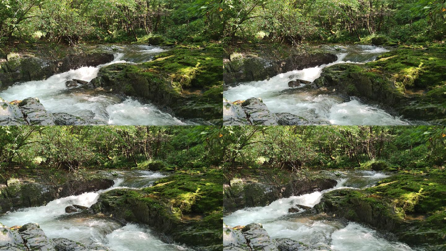 河流 岩石 湖水 森林  空镜4K原声