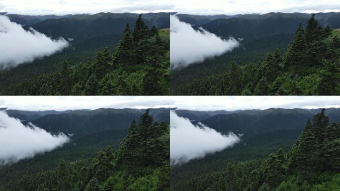 青藏高原上最神奇的地方