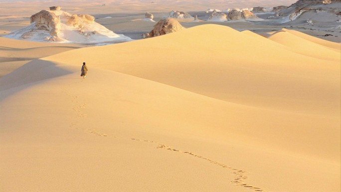 在沙漠里行走的人