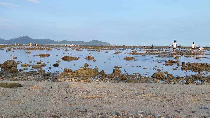 4K海边赶海实拍视频素材