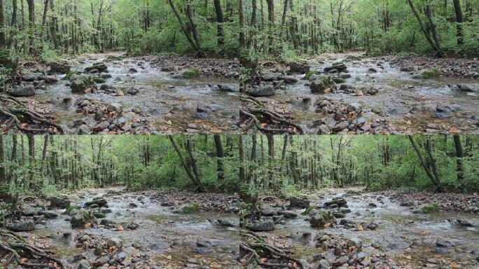 河流 岩石 湖水 森林  空镜4K原声