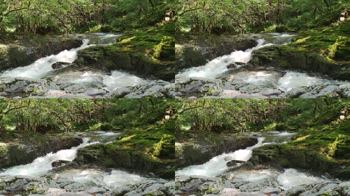 河流 岩石 湖水 森林  空镜4K原声