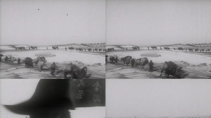 40年代行军老视频