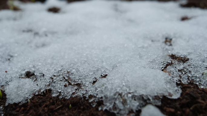 冰雪融化 冬天小麦