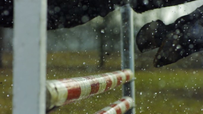 马在雨中越过障碍物的特写镜头