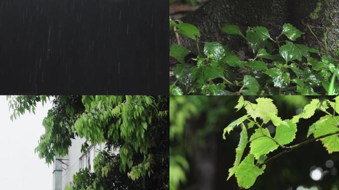 雨季雨水雨滴飘落