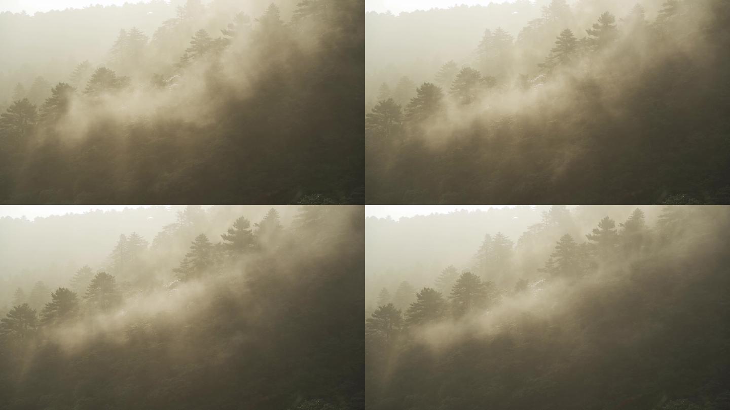1080p意向日出晨雾流动