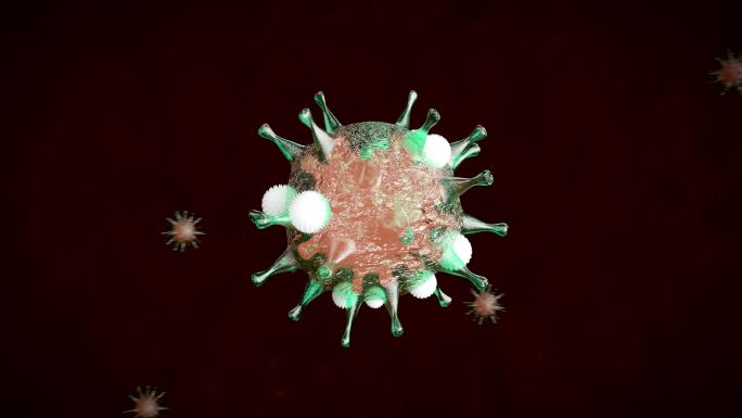 白细胞攻击细菌病毒细胞