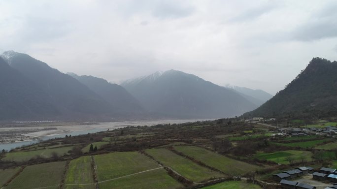 西藏波密易贡湖易贡茶场
