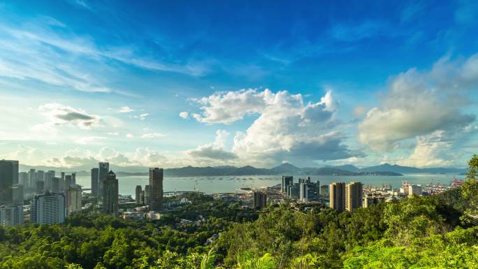 4K 深圳南山公园 蛇口港 太子湾