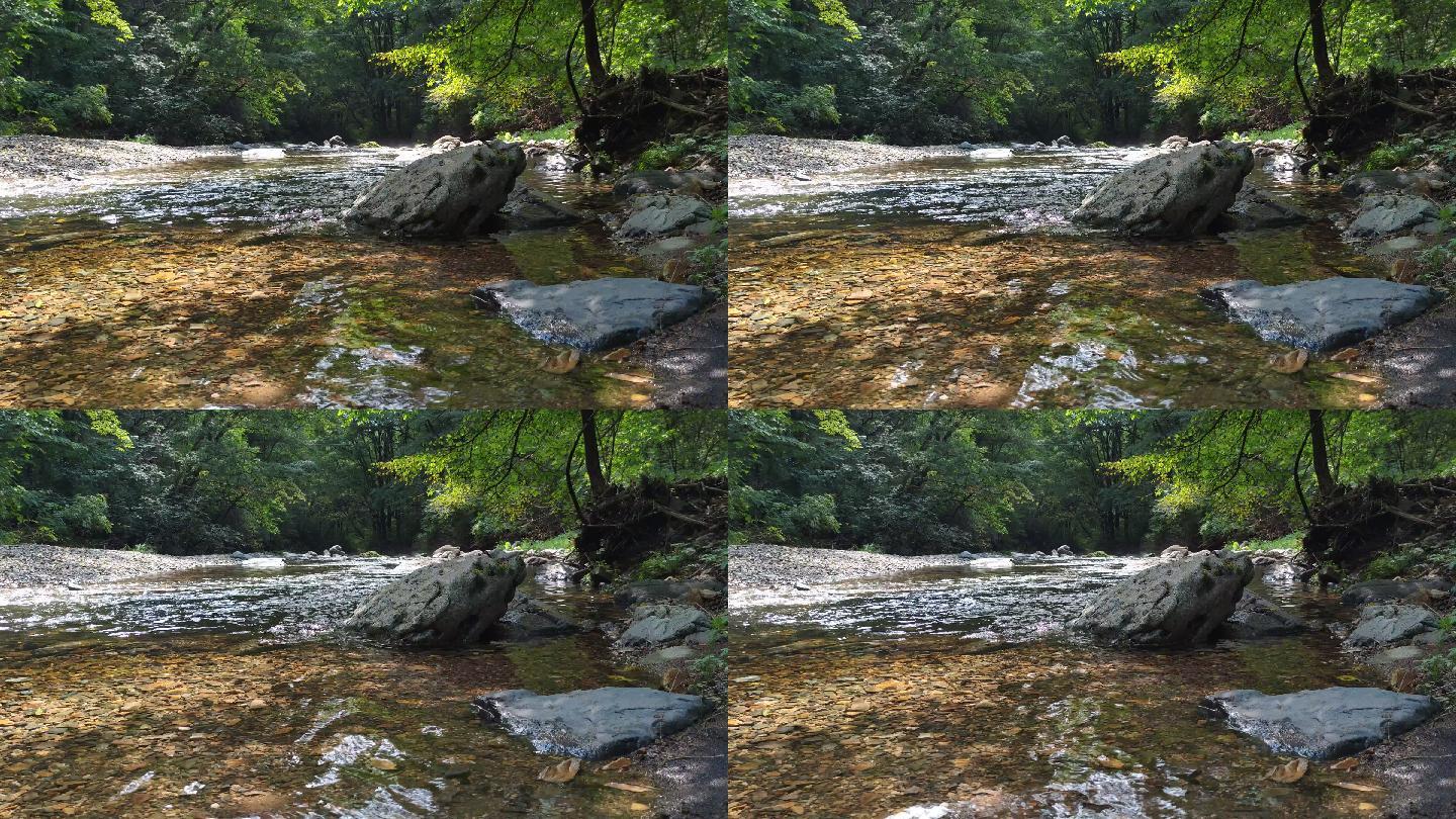 河流 岩石 湖水 森林  空镜4K原声