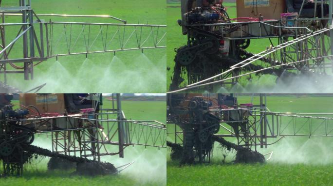 稻田机械喷洒农药农业机械农业食品