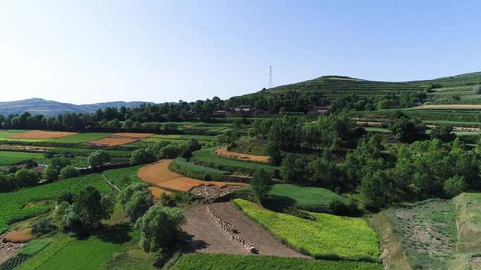 甘肃庆阳农村田地及村庄航拍H