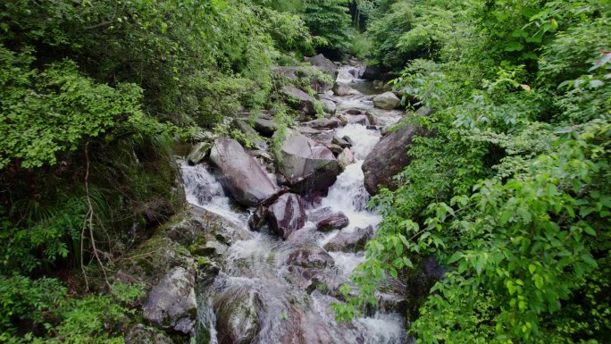 原始森林山泉水安徽石台仙寓山绿水青山