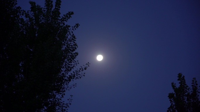 4K夜空月亮月光
