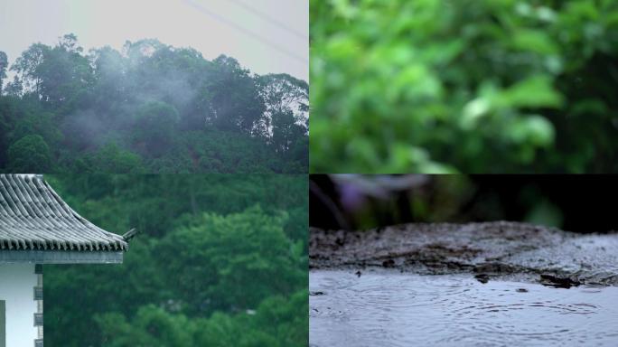 茶山雨中寨子