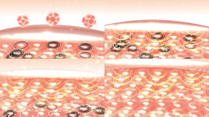 因子进入皮肤细胞内部