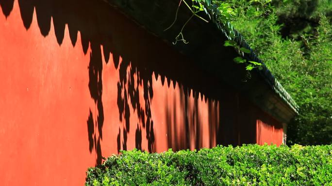日坛公园里的宫墙和绿植