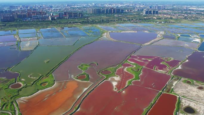 山西运城盐湖