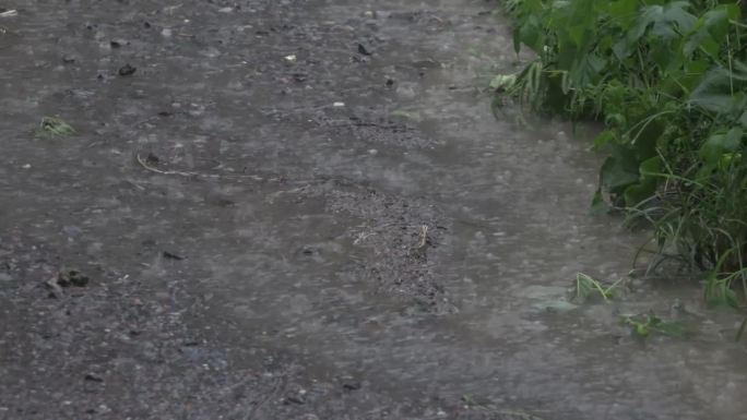 暴雨袭击农村道路积水严重