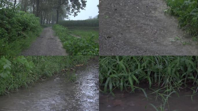 暴雨袭击农村道路积水严重