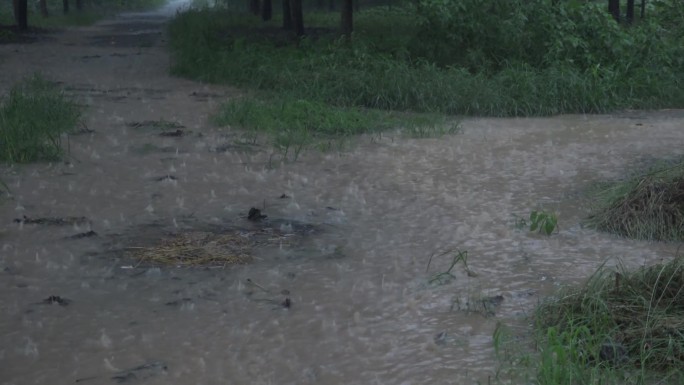 暴雨袭击农村积水严重