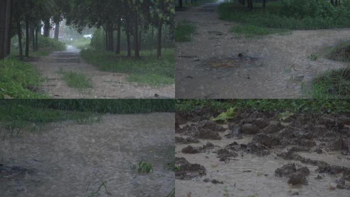 暴雨袭击农村积水严重