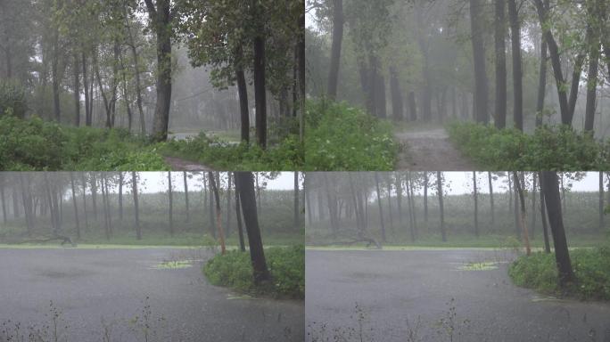 狂风暴雨袭击农村坑塘积水严重