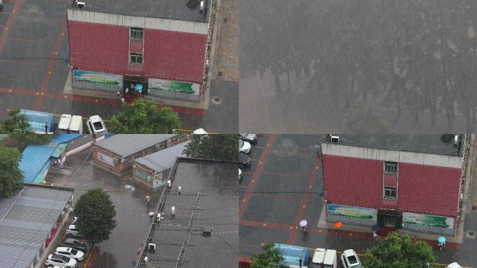 4K实拍小学校园下大雨学生往教室跑