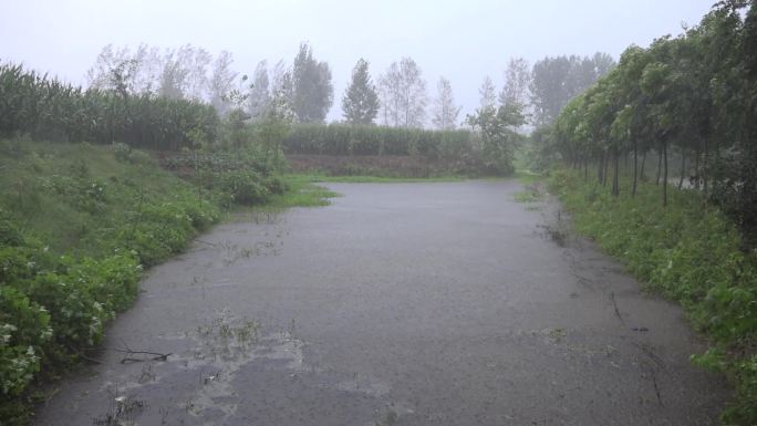 暴雨袭击农村坑塘水满泄洪