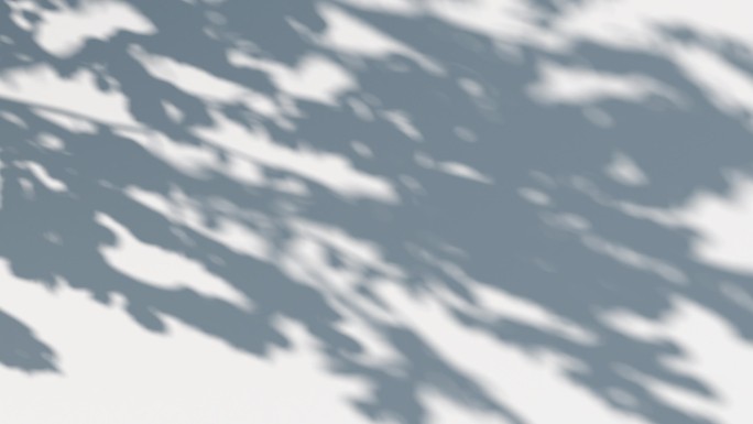 【2K】夏日阳光墙面树影婆娑唯美光影空镜
