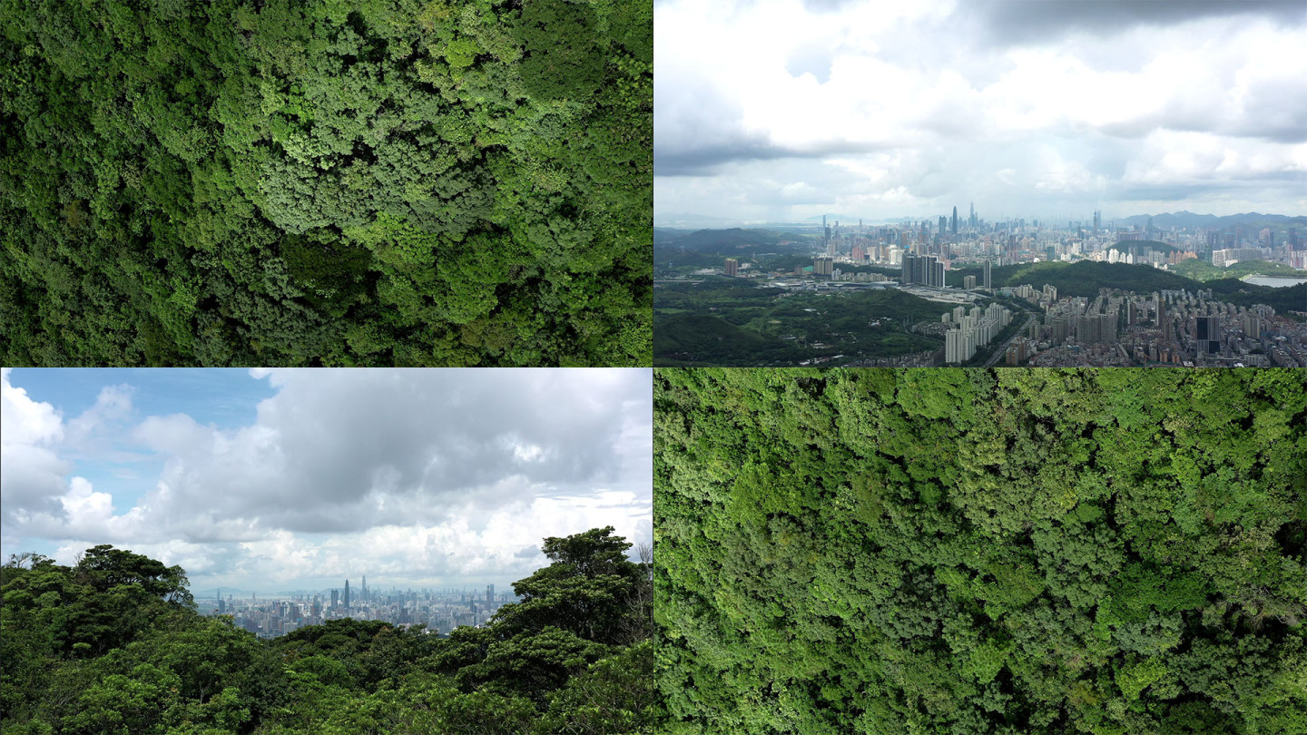 【4K】飞跃丛林看见城市