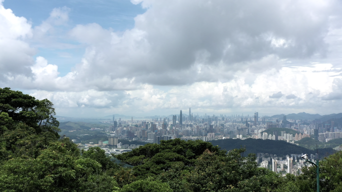 【4K】飞跃丛林看见城市