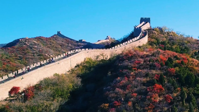 航拍北京延庆八达岭长城的红叶秋景