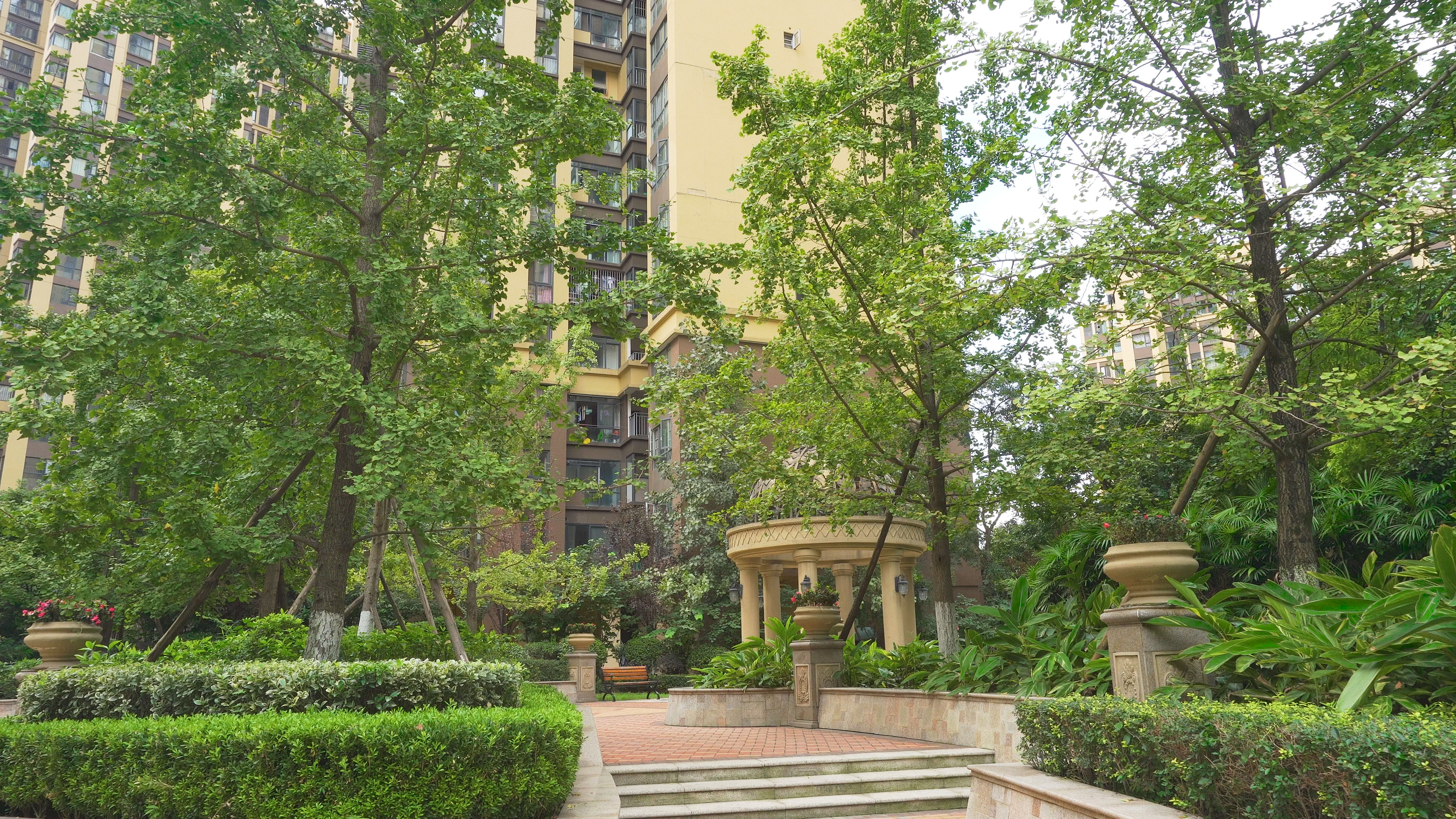 小区绿化实拍4k