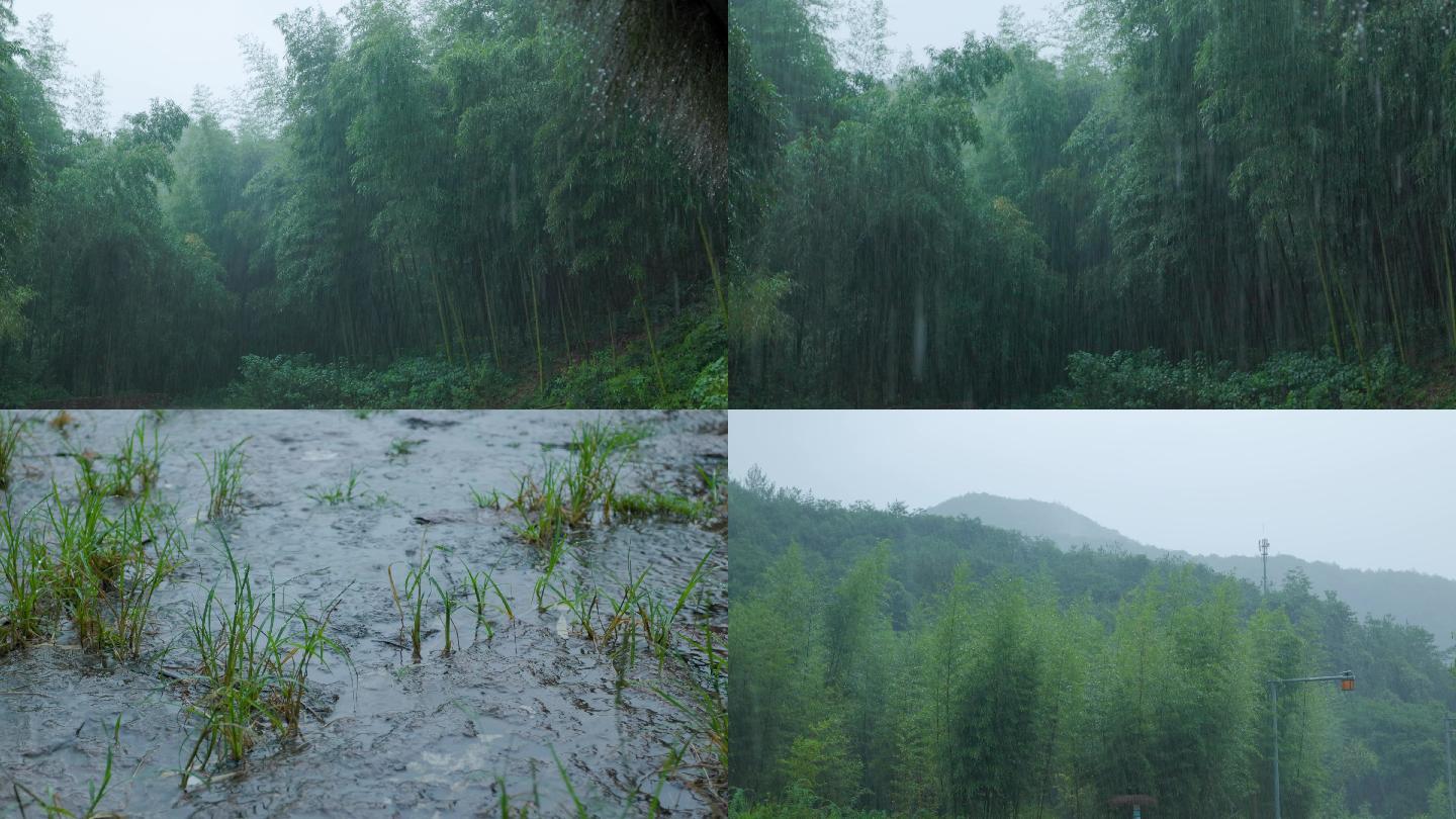 雨中竹林