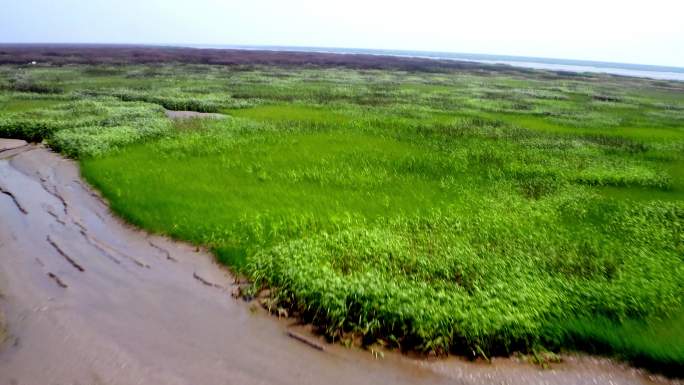 航拍湿地 荒岛