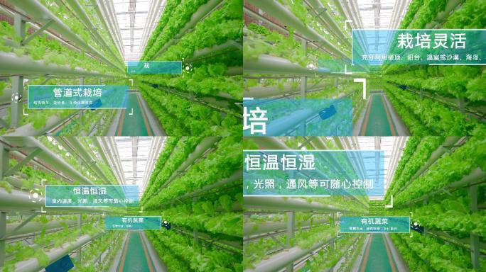 4K科技农业-智慧农业-绿色环保节能减排