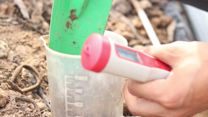 土壤检测化验将土壤放到烧杯里