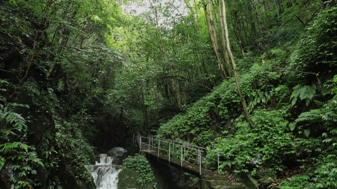 4K浏阳河源头山中溪水