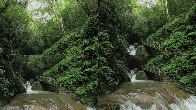 4K浏阳河源头山中溪水