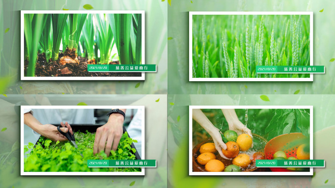 绿色农业单张图片展示AE模板
