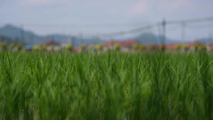 抚顺新宾永陵赫图阿拉城乡村山水航拍